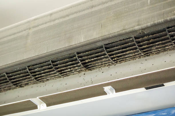 Professional Airduct Cleaning in Southwest Ranches, FL